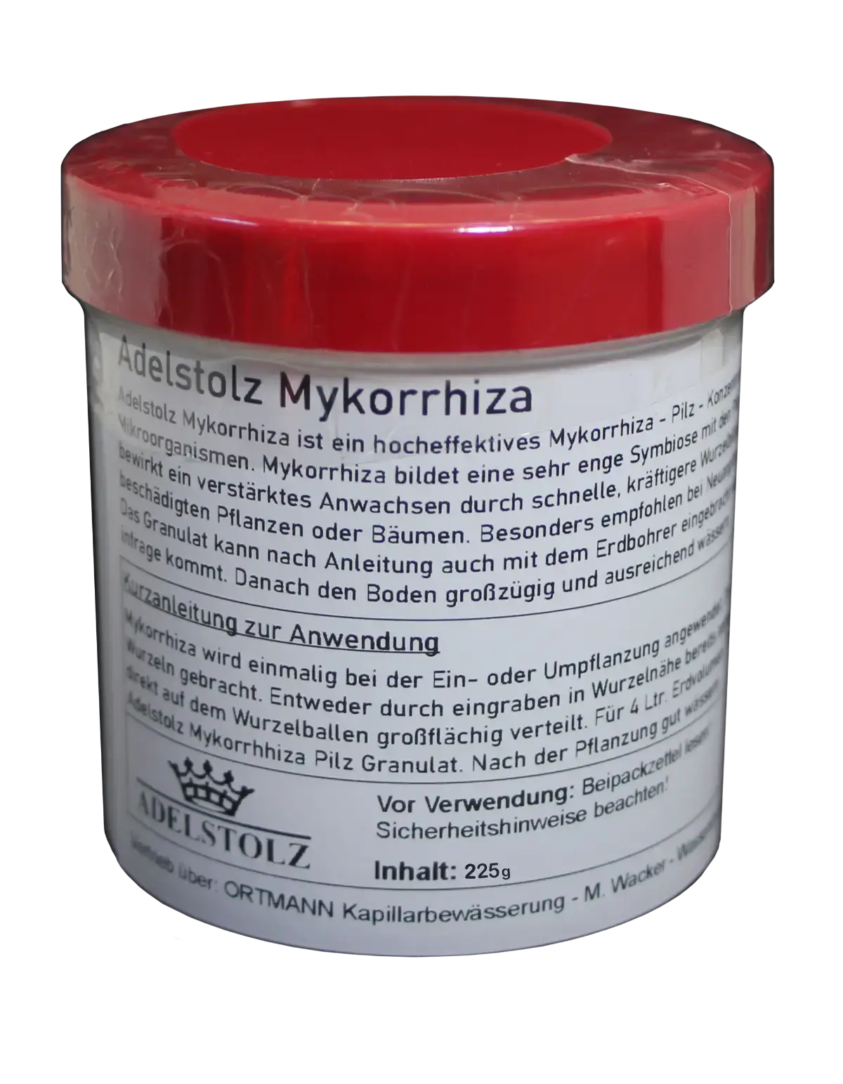 Mykorrhizza Pilze